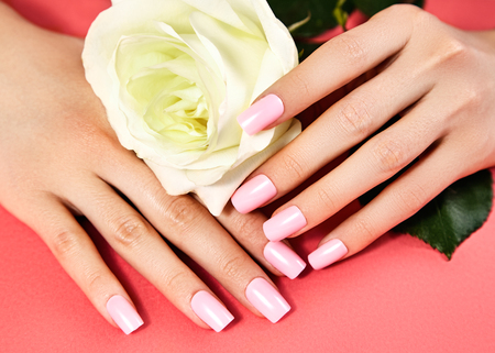 manicured nails with pink nail polish manicure with nailpolish