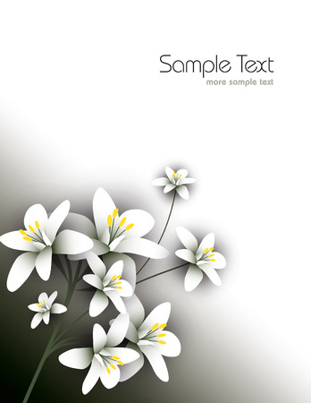 Arabian jasmine, jasminum sambac, flower, jasmine tea flower. Иллюстрация