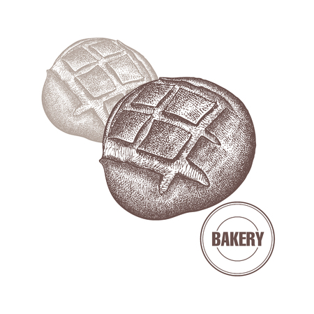 フランスのバゲット 手描きのパン製品 食品のベクター イラストです 菓子 ベーカリー カフェ レストラン メニューのキッチン デザイン ヴィンテージ のイラスト素材 ベクタ Image