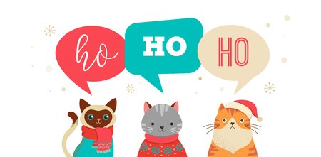 collection of christmas cats merry christmas illustrations of cute cats with accessories like a knited - Merry Christmas Cat collection of christmas cats merry christmas illustrations of cute cats with accessories like a knited - Merry Christmas Cat