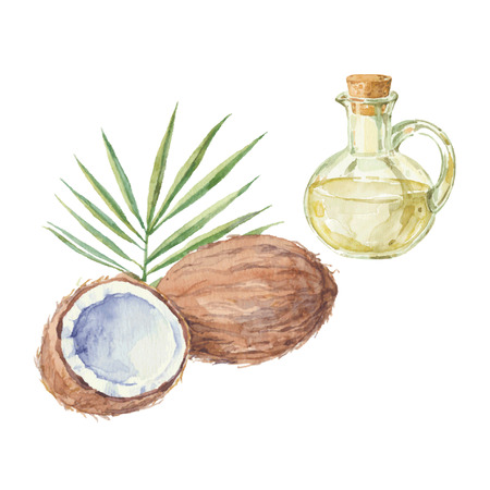 coconut: Dừa và một chai dầu dừa vẽ bằng màu nước. Vẽ tay minh hoạ vector cô lập trên một nền trắng.