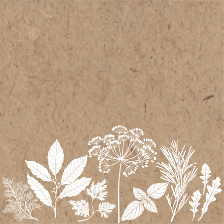 Vector background with spices and herbs on a kraft paper illustration with place for text can be used creating card menu or invitation card