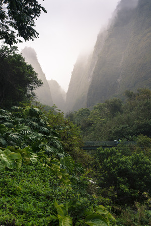 ハワイ マウイ島のイアオ渓谷州立公園 の写真素材 画像素材 Image