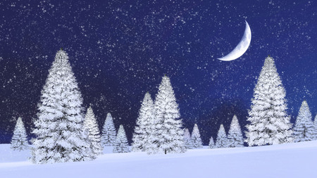 吹きだまりや降雪で夜空に幻想的な大きな半月の間で雪のもみとおとぎ話冬景色 3 D イラスト の写真素材 画像素材 Image 吹きだまりや降雪で夜空に幻想的な大きな半月の間で雪のもみとおとぎ話冬景色 3 D イラスト の写真素材 画像素材 Image