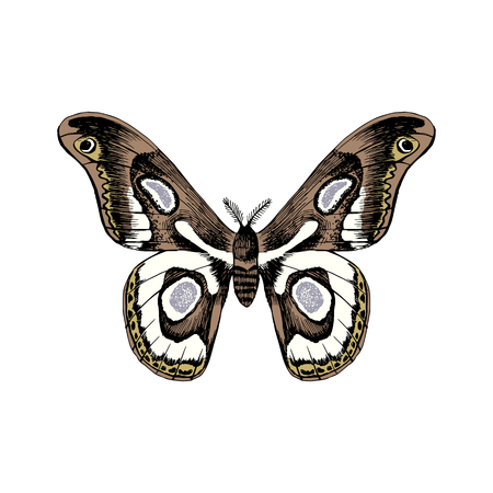 4 174 飛んでいる蛾 のイラスト素材 ベクター 123rf 4 174 飛んでいる蛾 のイラスト素材 ベクター 123rf