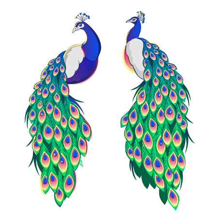 Download 19 462 Peacock Stock Illustrations Cliparts And Royalty Free Peacock Vectors