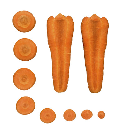 背景として自然なニンジンの断面図 汚れ 汚れ 筋 コアの構造 ニンジンのスライスの詳細 の写真素材 画像素材 Image