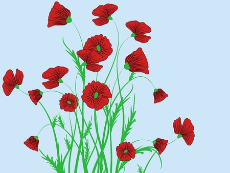 poppy flower pattern abstraction illustration stock photo picture