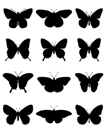 butterfly: Bóng đen của các loài bướm khác nhau, minh hoạ vector