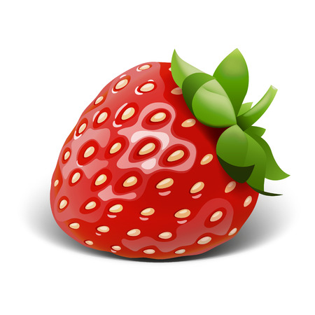 Strawberry vector. eps 10 file Stock Photo