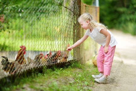 Cute little girl looking at farm chickens through metal fence. child exploring nature.