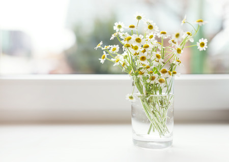 Bouquet of chamomiles flowers on the window sill