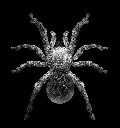 タランチュラ クモ蜘蛛の巣の形で それは黒に分離 不気味な感じを与えるのお化け の写真素材 画像素材 Image