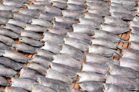 干し魚 伝統的なタイ料理 の写真素材 画像素材 Image 干し魚 伝統的なタイ料理 の写真素材 画像素材 Image