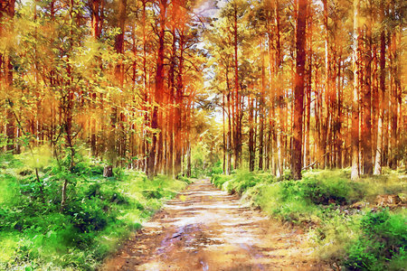 太陽の光と美しい秋の森の風景画の写真素材・画像素材 Image