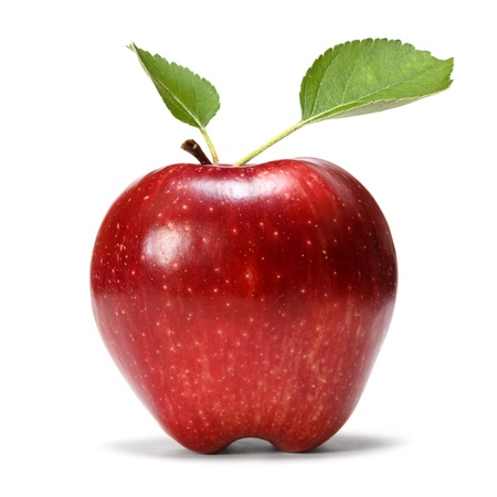 apple stock photo picture and royalty free image image 16655189