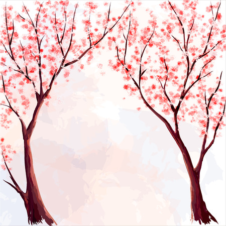 Peach flower: Hoa anh đào. Watercolor minh họa