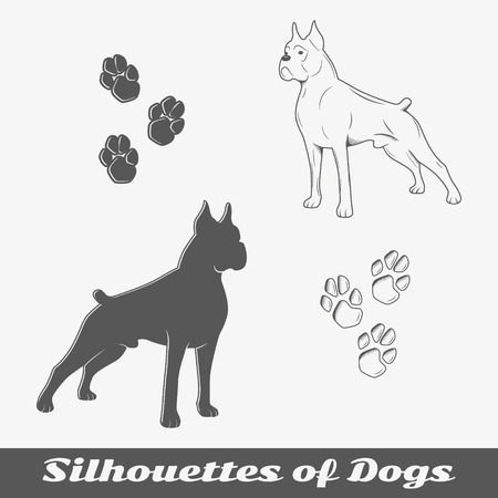 ボクサー犬白い背景で隔離の影絵 のイラスト素材 ベクタ Image ボクサー犬白い背景で隔離の影絵 のイラスト素材 ベクタ Image