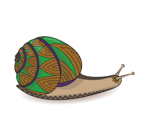 リアルのイラスト 庭のカタツムリ ベクトルは 白い背景で隔離 のイラスト素材 ベクタ Image リアルのイラスト 庭のカタツムリ ベクトルは 白い背景で隔離 のイラスト素材 ベクタ Image