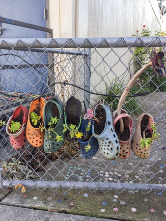 古い靴は植木鉢として再利用のフェンスにぶら下がっています の写真素材 画像素材 Image