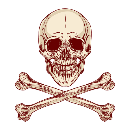 交差した骨と人間の頭蓋骨を手描きのベクトル イラストのイラスト素材 ベクタ Image 交差した骨と人間の頭蓋骨を手描きのベクトル イラストのイラスト素材 ベクタ Image