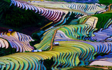 The landscape of Saigon: Ruộng bậc thang ở Mù Cang Chải mùa nước, Việt Nam