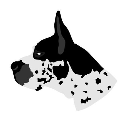Portrat Der Vektor Schattenbildillustration Der Deutschen Dogge Lokalisiert Boston Dane Harlekin Hund Deutscher Hund Lizenzfrei Nutzbare Vektorgrafiken Clip Arts Illustrationen Image 91345670