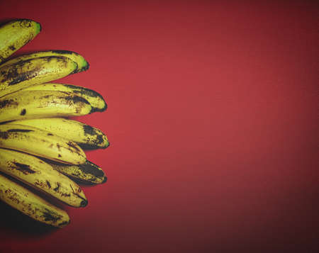 Retro styled image of Organic bananas on red background top view. Bunch of bananas is lying on orange background with dark spots marking ripening process.