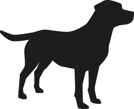 7 411 Labrador Retriever Cliparts Stock Vector And Royalty