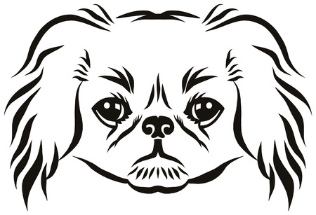 Pekingese Cliparts Stock Vector And Royalty Free Pekingese