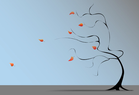 A Winter wind at the end of Autumn blows the last fall leaves from the branches of a tree on a windy day.