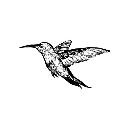 209148907-handdrawn-