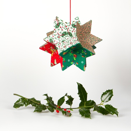 butchers broom and christmas decoration isolated on white stock photo 15934199 - Christmas Broom Decoration butchers broom and christmas decoration isolated on white stock photo 15934199 - Christmas Broom Decoration