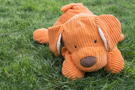 ツリーでオレンジ色の動物ぬいぐるみ犬 の写真素材 画像素材 Image ツリーでオレンジ色の動物ぬいぐるみ犬 の写真素材 画像素材 Image