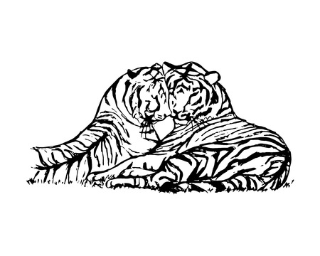 虎の頭を持つベクトル イラスト 手描きのスケッチ 野生動物のイラスト のイラスト素材 ベクタ Image 虎の頭を持つベクトル イラスト 手描きのスケッチ 野生動物のイラスト のイラスト素材 ベクタ Image