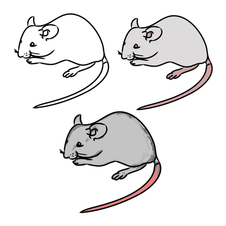 グラフィック デザインのラット マウス 白の背景にベクトル のイラスト素材 ベクタ Image グラフィック デザインのラット マウス 白の背景にベクトル のイラスト素材 ベクタ Image