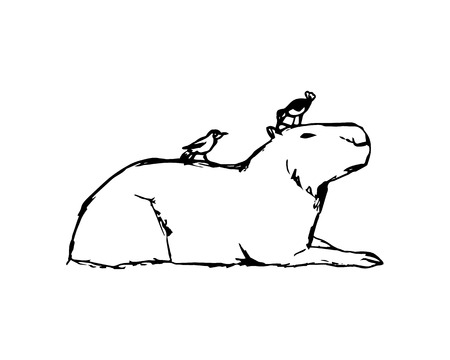 カピバラと白い背景の上の鳥の抽象的なイラスト のイラスト素材 ベクタ Image