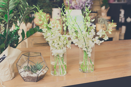 フラワー ショップ背景 花デザイン スタジオ 装飾やアレンジ 花急便とポット フィルターされたイメージの家の植物の販売 の写真素材 画像素材 Image