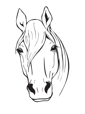 Cabeça De Cavalo, Animal De Fazenda, Preto E Branco Ilustração Vetorial Em  Estilo Gráfico Royalty Free SVG, Cliparts, Vetores, e Ilustrações Stock.  Image 69936700