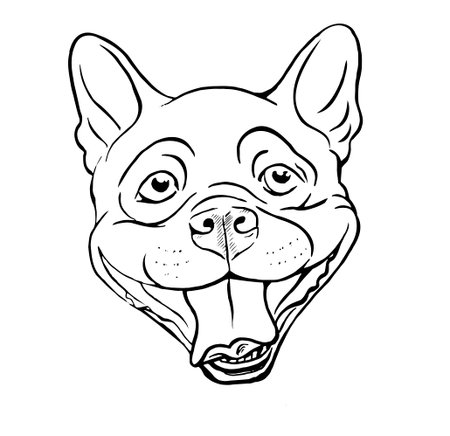 ボストン テリア 笑顔犬 肖像画 スケッチ 黒と白のベクトル図 のイラスト素材 ベクタ Image ボストン テリア 笑顔犬 肖像画 スケッチ 黒と白のベクトル図 のイラスト素材 ベクタ Image