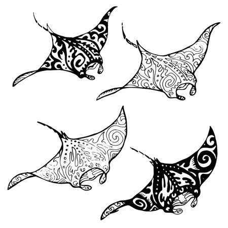1 352 Raie Manta Vectores Ilustraciones Y Graficos 123rf