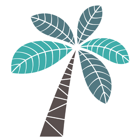 coconut: cây cọ