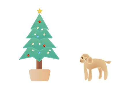 christmas tree and toy poodle stock photo picture and royalty free poodle christmas tree