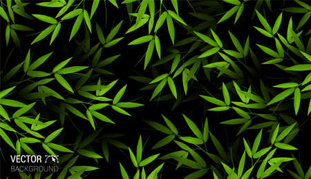 Fresh green bamboo stems and leaves branches. natural realistic pattern leaf. colorful dark background. trendy repeat fashion print wallpaper or fabric. abstract design element vector.