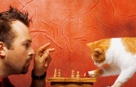 Two chess game players: man and cat Фото со стока