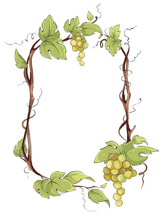 103 046 ブドウの木 のイラスト素材 ベクター 123rf