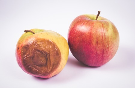 Wrinkled, rotten apple isolated on white background. close up.
