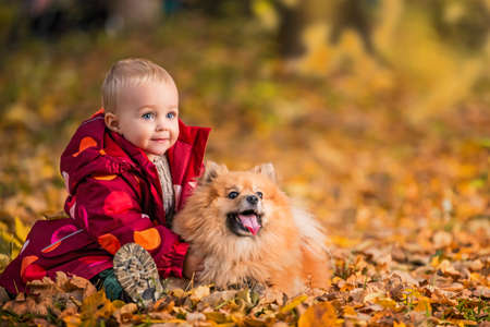 Happy child on autumn walk with dog. childhood friendship, pet, small dog in autumn park walk. little girl and her dog. Happy child on autumn walk with dog. childhood friendship, pet, small dog in autumn park walk. little girl and her dog.