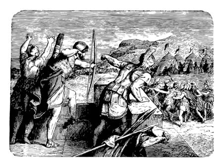 251 アスター の写真素材 ストックフォト 123rf 251 アスター の写真素材 ストックフォト 123rf