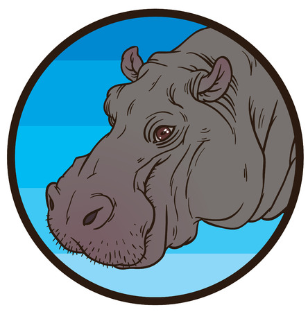 自然主義的なベクトル手デッサン川馬またはカバ アンフィビウス カバのイラスト のイラスト素材 ベクタ Image 自然主義的なベクトル手デッサン川馬またはカバ アンフィビウス カバのイラスト のイラスト素材 ベクタ Image